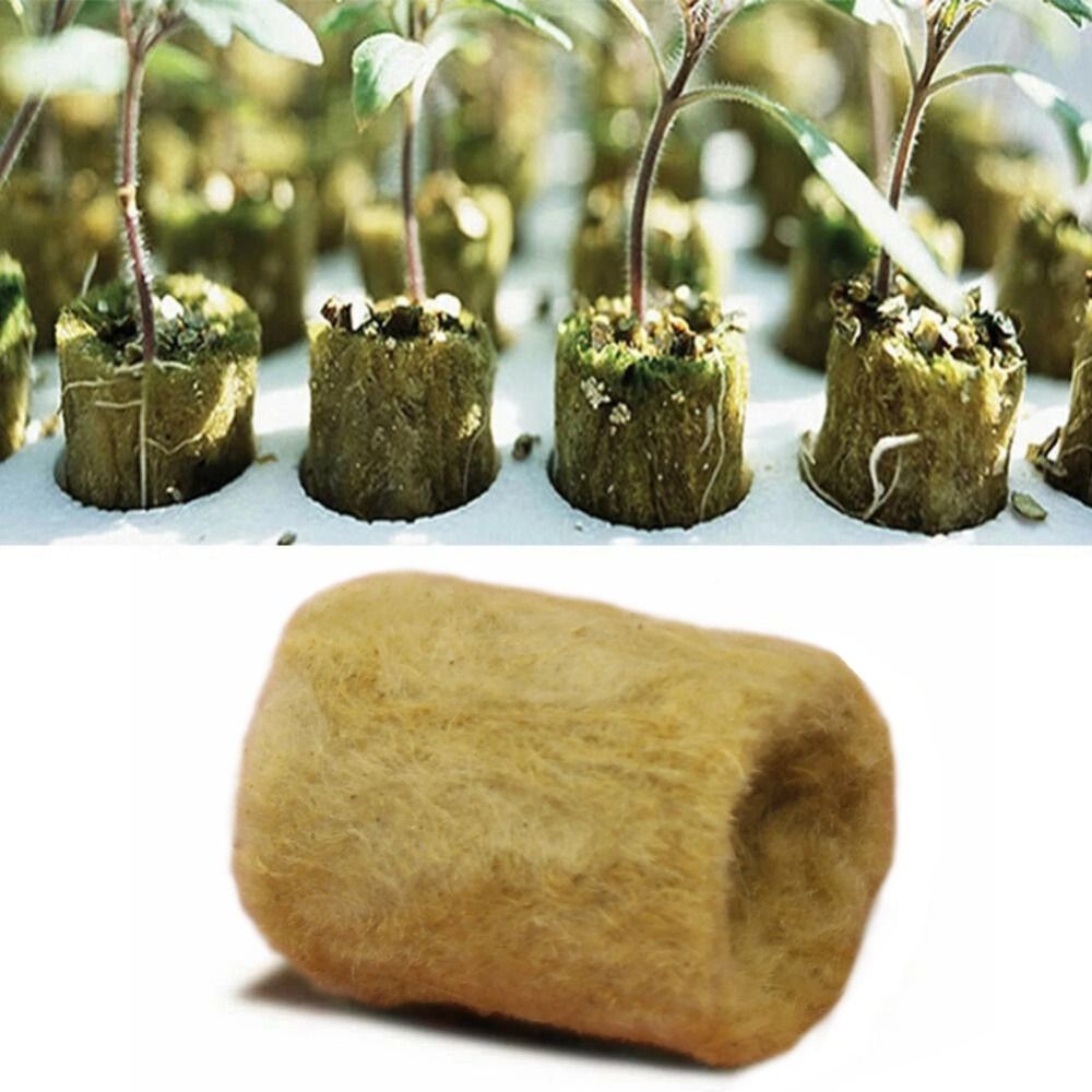 50PCS 27*20mm Size Hydroponic  - Nursery Plug Tray recension och pris