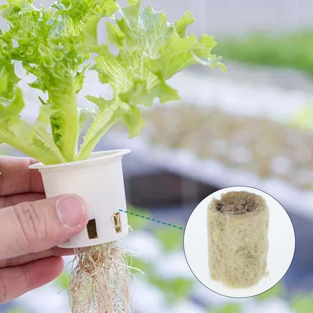 50PCS 27*20mm Size Hydroponic  - Nursery Plug Tray recension och pris